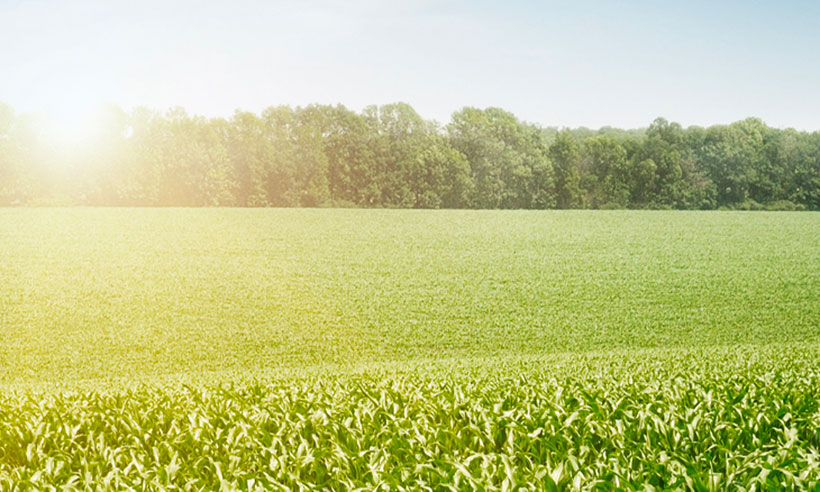 Faits alternatifs : Comment les catégories d’actifs non traditionnels améliorent-elles le rendement des portefeuilles? Faits alternatifs : Comment les catégories d’actifs non traditionnels améliorent-elles le rendement des portefeuilles?